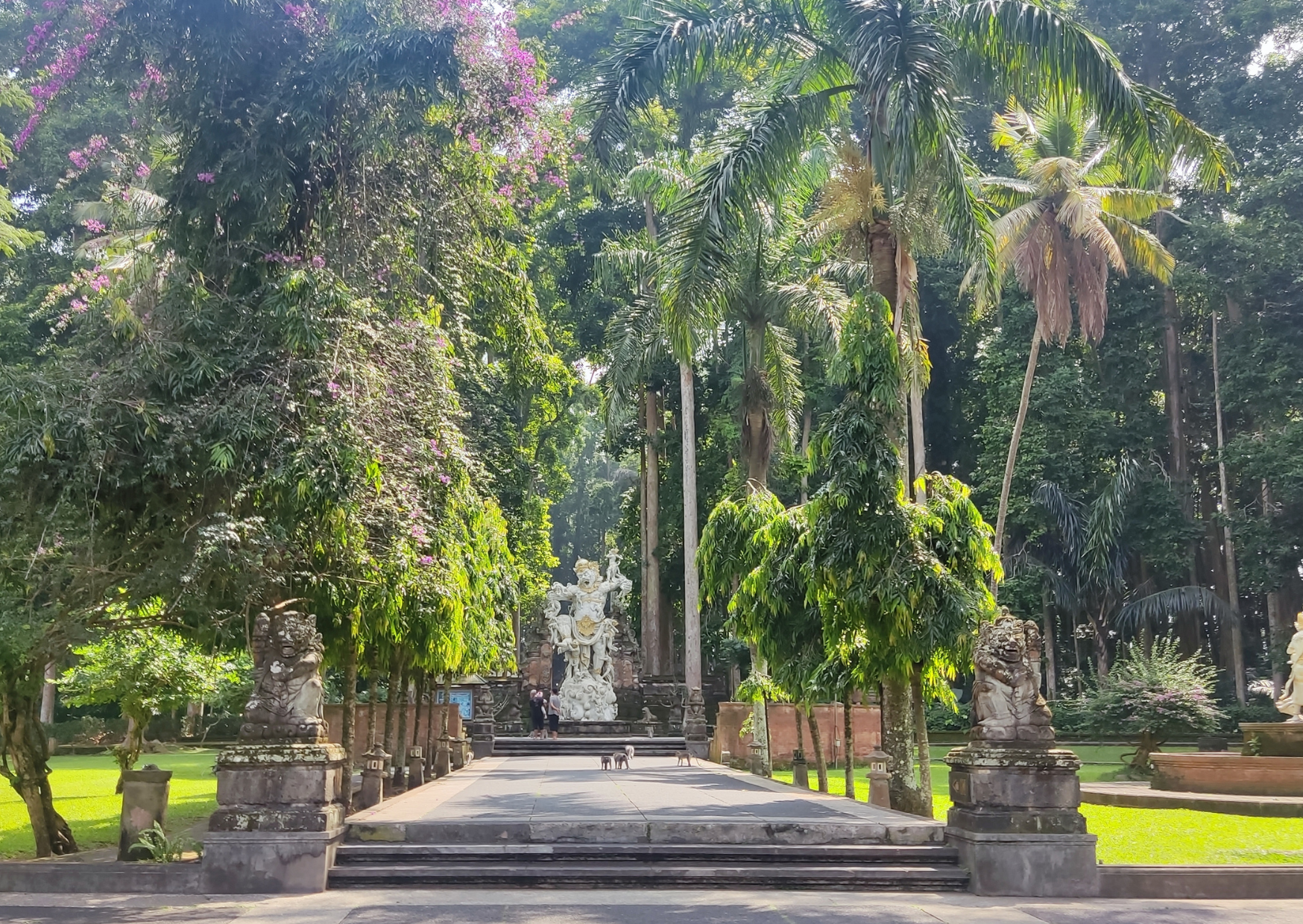 Sangeh monkey forest